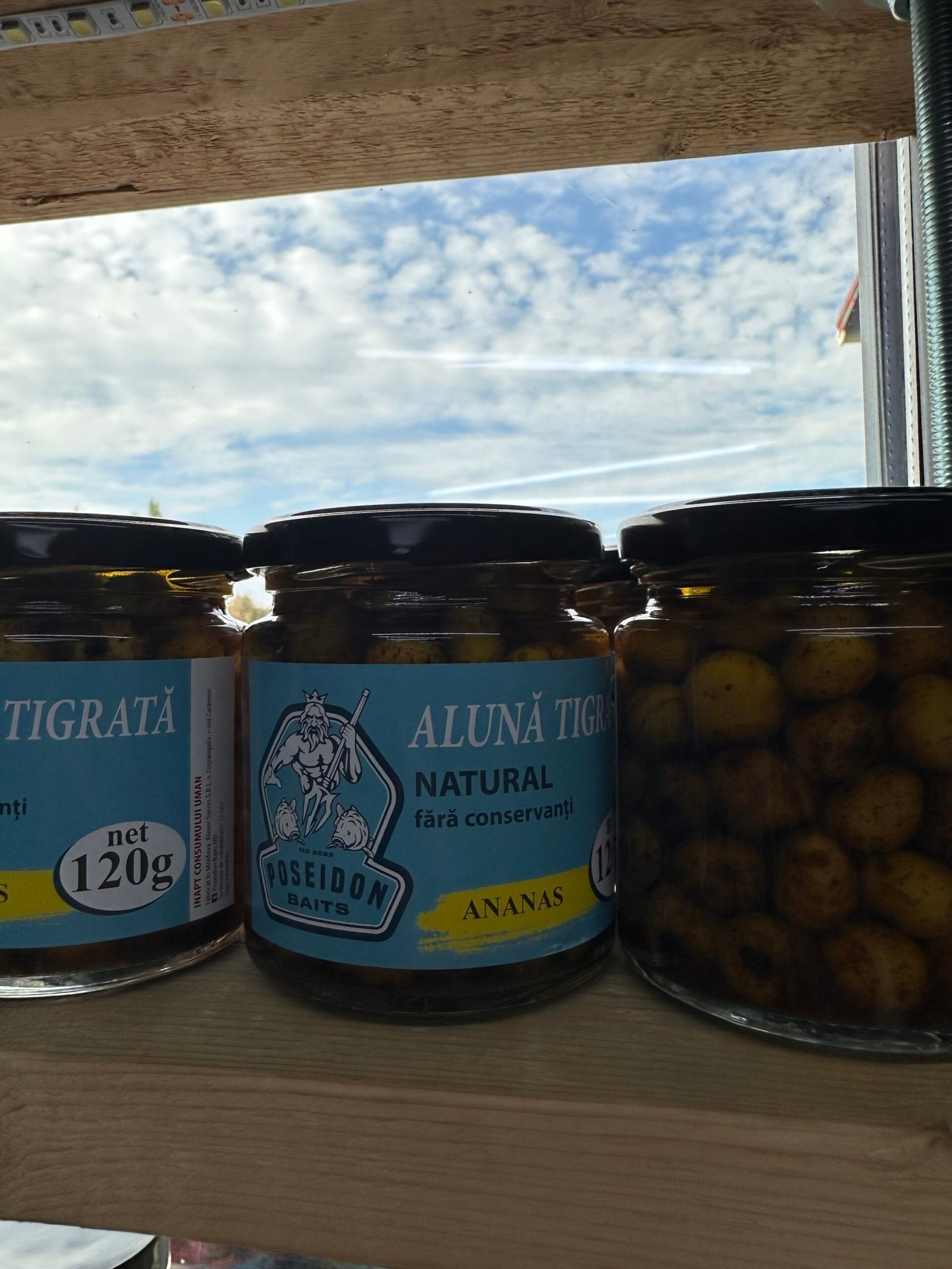 Aluna tigrată borcan Poseidon